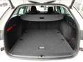 Skoda Octavia Combi FIRST ED 2,0 TDI *LED MIT FLA & DYN BLINKER / HEAD-UP / VIRTUELL / NAVI / AHV / ACC / MASSAGE / E-KLAPPE* Weiß - thumbnail 12