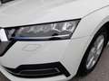 Skoda Octavia Combi FIRST ED 2,0 TDI *LED MIT FLA & DYN BLINKER / HEAD-UP / VIRTUELL / NAVI / AHV / ACC / MASSAGE / E-KLAPPE* Weiß - thumbnail 15