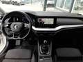 Skoda Octavia Combi FIRST ED 2,0 TDI *LED MIT FLA & DYN BLINKER / HEAD-UP / VIRTUELL / NAVI / AHV / ACC / MASSAGE / E-KLAPPE* Weiß - thumbnail 3