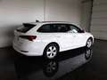 Skoda Octavia Combi FIRST ED 2,0 TDI *LED MIT FLA & DYN BLINKER / HEAD-UP / VIRTUELL / NAVI / AHV / ACC / MASSAGE / E-KLAPPE* Weiß - thumbnail 2