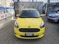 Ford Ka/Ka+ 1.2 Ti-VCT Giallo - thumbnail 14