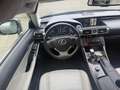 Lexus IS 300 300h Edition | 2E EIGENAAR | 12MND GARANTIE | AUTO Gris - thumbnail 18