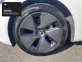 Tesla Model 3 Rear-Wheel Drive Bianco - thumbnail 4