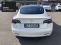 Tesla Model 3 Rear-Wheel Drive Bianco - thumbnail 7