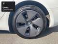 Tesla Model 3 Rear-Wheel Drive Bianco - thumbnail 5