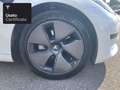 Tesla Model 3 Rear-Wheel Drive Bianco - thumbnail 10