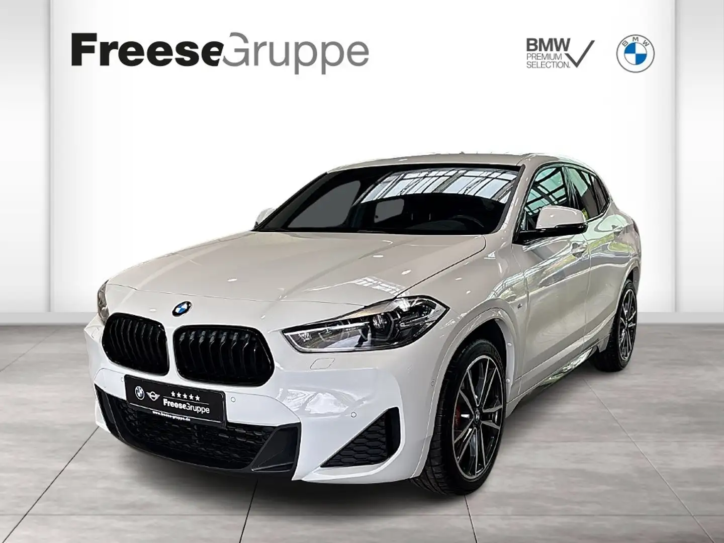 BMW X2 sDrive20i M Sportpaket HiFi DAB LED WLAN Shz Blanco - 1
