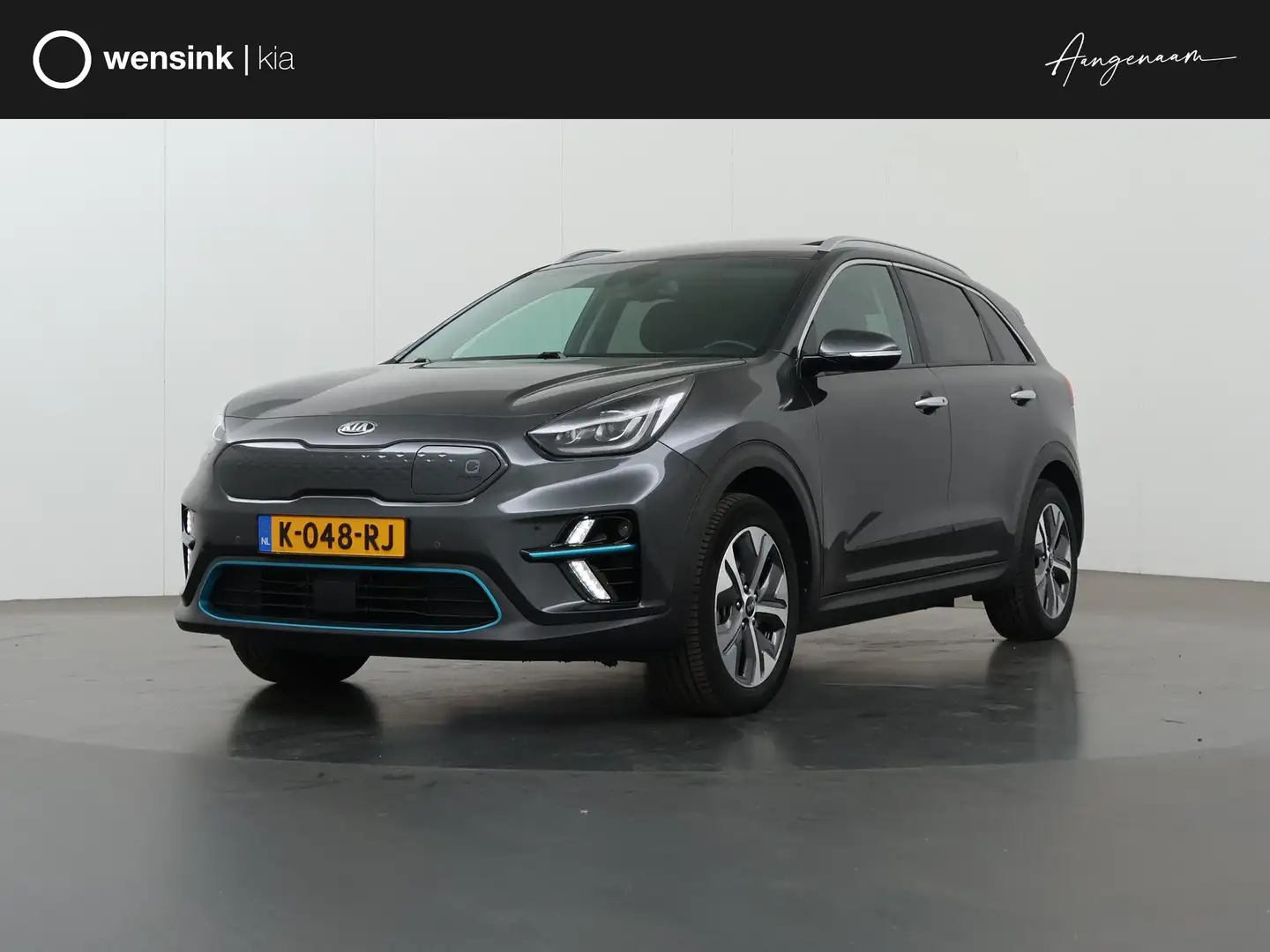 Kia e-Niro DynamicPlusLine 64 kWh | Panoramadak | Stoel/Stuur Grijs - 1