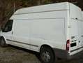 Ford Transit Transit 300 TDCi 300 Lang Hoch TDCi Klima Lkw Weiß - thumbnail 6