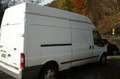 Ford Transit Transit 300 TDCi 300 Lang Hoch TDCi Klima Lkw Weiß - thumbnail 7