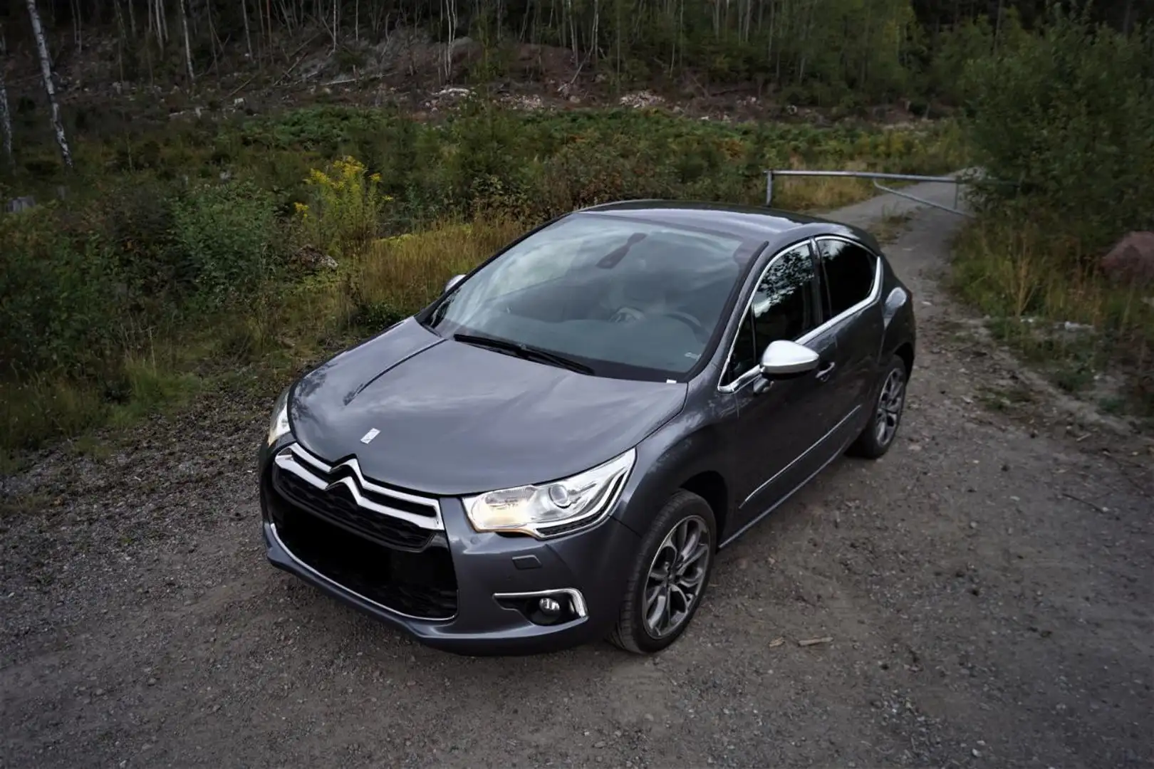 Citroen DS4 HDi 165 SoChic Grau - 1