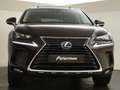 Lexus NX 300h AWD President Line | Mark Levinson | Schuif kantel Marrón - thumbnail 7
