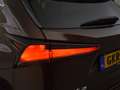 Lexus NX 300h AWD President Line | Mark Levinson | Schuif kantel Marrón - thumbnail 23