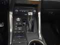 Lexus NX 300h AWD President Line | Mark Levinson | Schuif kantel Marrón - thumbnail 33