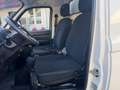 Piaggio Porter Porter NP6 LPG SW307 short range Hd Top - thumbnail 10