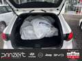 Mazda 6 Kombi 2.5 SKYACTIVE AT6 "Sports-Line" Plus*8-Fach Blanc - thumbnail 14
