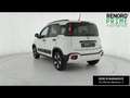 Fiat Panda 1.0 hybrid City Cross s&s 70cv Blanc - thumbnail 7
