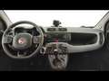 Fiat Panda 1.0 hybrid City Cross s&s 70cv Blanc - thumbnail 11