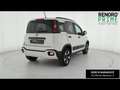 Fiat Panda 1.0 hybrid City Cross s&s 70cv Blanc - thumbnail 5