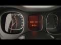 Fiat Panda 1.0 hybrid City Cross s&s 70cv Blanc - thumbnail 14