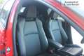 Toyota Yaris 1.5 Hybrid Launch Edition / Executive I JBL I 1e E Rojo - thumbnail 10