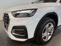 Audi Q5 40 TDI QUATTRO*SPORT*LED*AHK*PDC*SHZ*TOP* Weiß - thumbnail 10