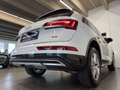 Audi Q5 40 TDI QUATTRO*SPORT*LED*AHK*PDC*SHZ*TOP* Weiß - thumbnail 14