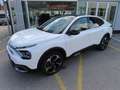 Citroen C4 X C4 X BlueHDI 130 S&S EAT8 Aut. Max Weiß - thumbnail 1