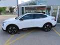 Citroen C4 X C4 X BlueHDI 130 S&S EAT8 Aut. Max Weiß - thumbnail 4