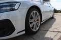 Audi A8 50 TDI quattro|Bang & Olufsen|S Line|Matrix| Weiß - thumbnail 19