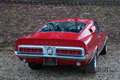 Ford Mustang Shelby GT350 PRICE REDUCTION! An icon among classi Rood - thumbnail 33