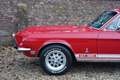 Ford Mustang Shelby GT350 PRICE REDUCTION! An icon among classi Rood - thumbnail 25