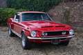Ford Mustang Shelby GT350 An icon among classic American muscle Rood - thumbnail 48