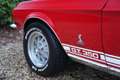 Ford Mustang Shelby GT350 An icon among classic American muscle Rood - thumbnail 25
