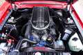 Ford Mustang Shelby GT350 PRICE REDUCTION! An icon among classi Rood - thumbnail 4