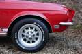 Ford Mustang Shelby GT350 PRICE REDUCTION! An icon among classi Rood - thumbnail 41