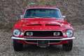 Ford Mustang Shelby GT350 PRICE REDUCTION! An icon among classi Rood - thumbnail 13