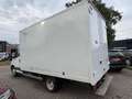 Iveco Daily 40C11 Bakwagen Meubelbak 2001 Dubbel Lucht Wit - thumbnail 6