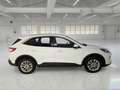 Ford Kuga 2.5 Benzina PHEV 225CV 2WD Titanium Business Aut - thumbnail 3