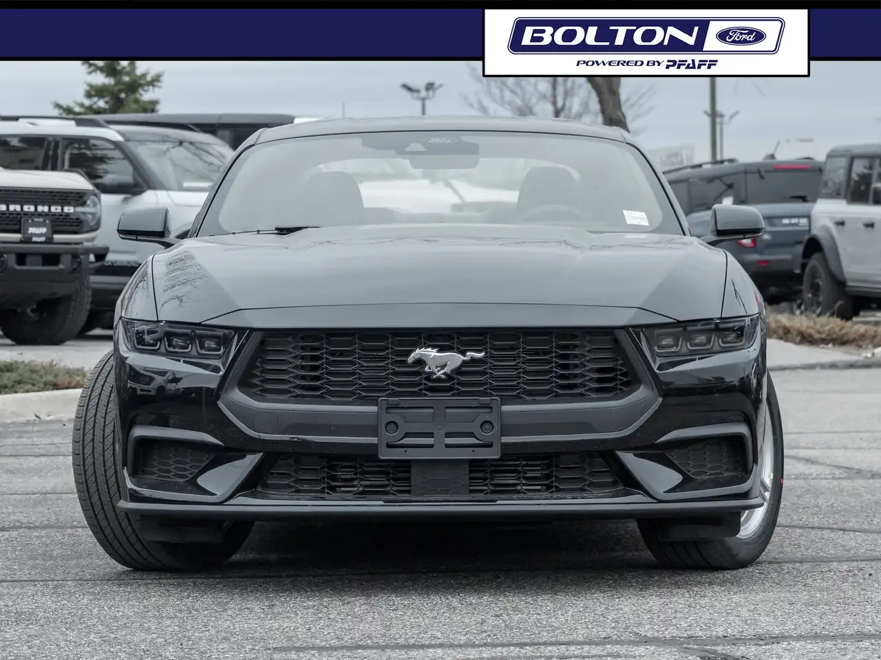 Ford Mustang снимка Ford Mustang