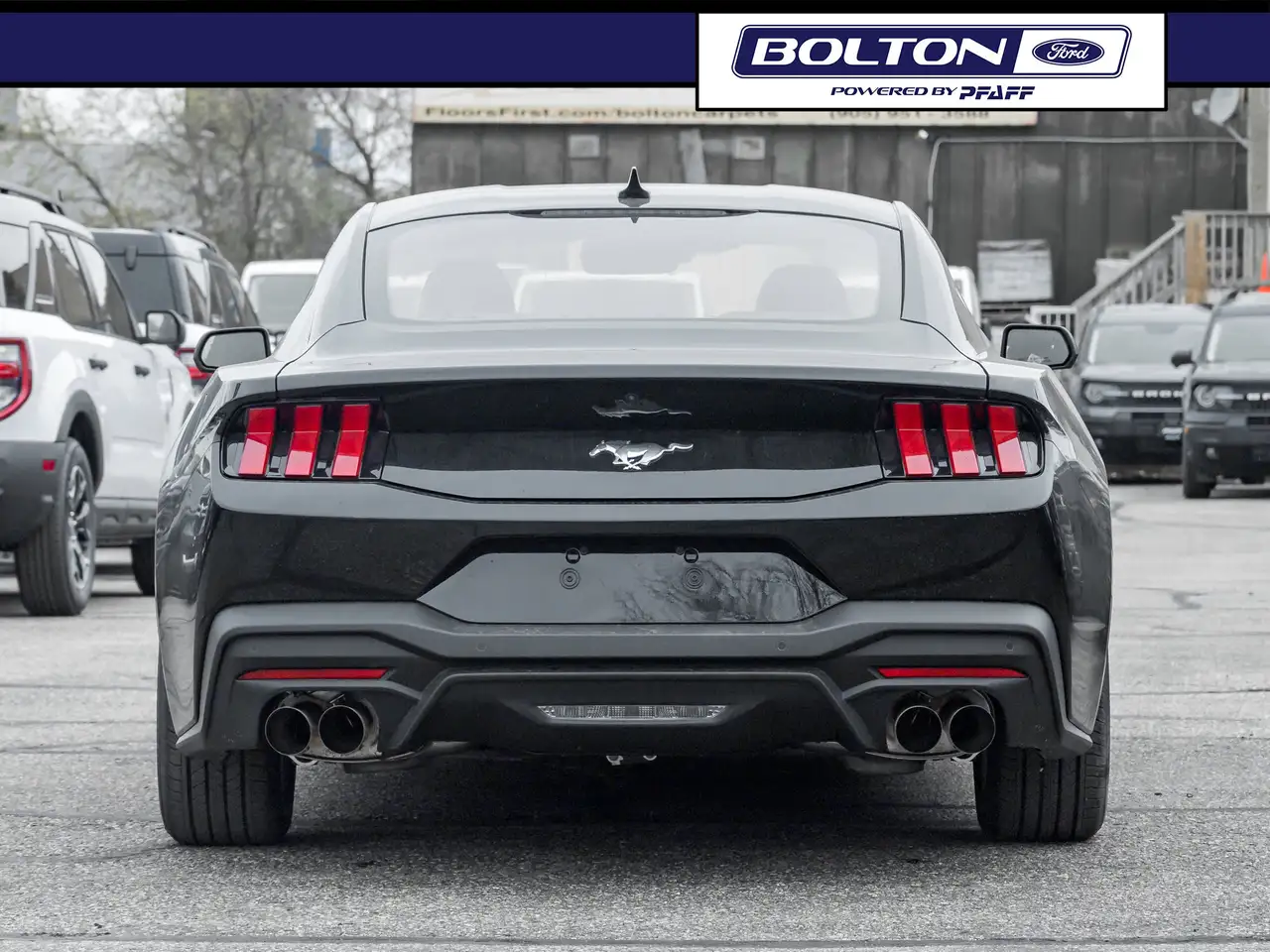 Ford Mustang снимка Ford Mustang