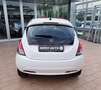 Lancia Ypsilon 1.0 FireFly 5 porte S&S Hybrid Gold Bianco - thumbnail 7