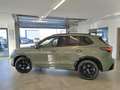 Volkswagen Tiguan eHybrid R-Line Leder/Pano/HeadUp/Matrix/EasyO/DCC Grün - thumbnail 6