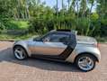 smart roadster roadster 0.7 45 Grijs - thumbnail 19
