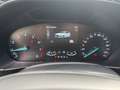 Ford Focus 1.0 Ecoboost ST-Line - thumbnail 15