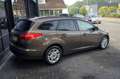 Ford Focus CC Wagon 1.0 Trend, Navi, PDC, Aut inparkeren, Winter Marrone - thumbnail 5