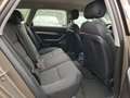 Audi A6 Avant 2.0 TDI Business Edition CLIMAT/CRUISE/NAVI/ Beige - thumbnail 11