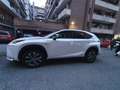 Lexus NX 300h NX I 2014 300h 2.5 F-Sport 4wd cvt Bianco - thumbnail 2