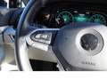 Volkswagen Golf 1,0 TSI Life LED/SHZ/LMF/PDC/LHZ Gris - thumbnail 13
