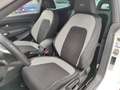 Volkswagen Scirocco 1.4 tsi 160 cv R-line Tetto apr. Cambio manuale Bianco - thumbnail 12